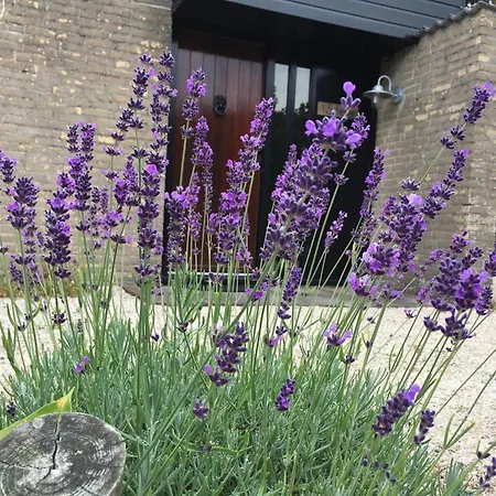 Equipped Bungalow, 5 Persons