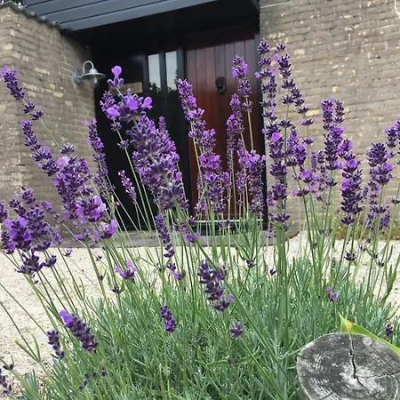 Vakantiehuis Equipped Bungalow, 5 Persons