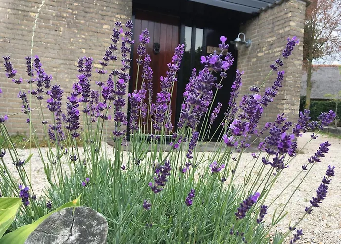 Equipped Bungalow, 5 Persons