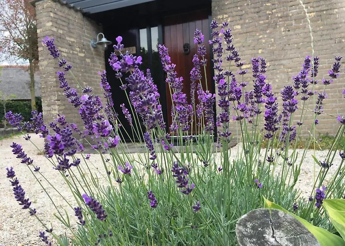 Дом отдыха Equipped Bungalow, 5 Persons